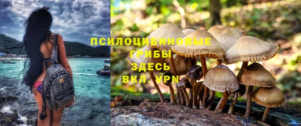меф Арсеньев