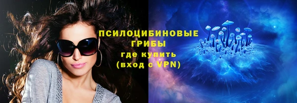 меф Арсеньев