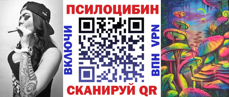 Псилоцибиновые грибы Psilocybine cubensis  Североморск 